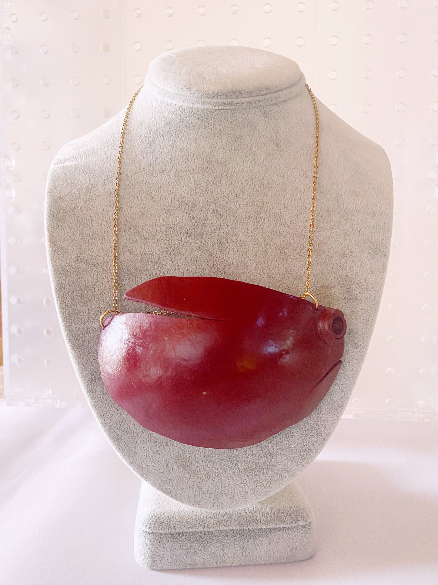 Calabash Rainbow